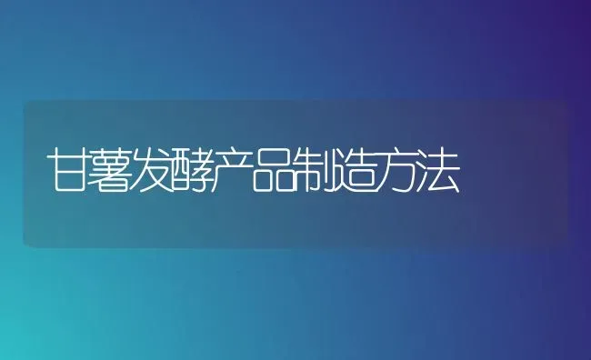 甘薯发酵产品制造方法 | 养殖技术大全