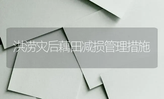 洪涝灾后藕田减损管理措施 | 养殖技术大全