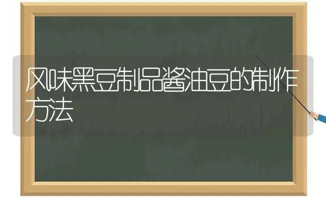 风味黑豆制品酱油豆的制作方法 | 养殖技术大全