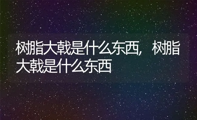 狗的特点是什么,哈士奇狗的特点是什么 | 养殖资料