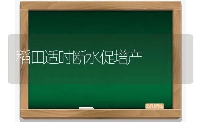 稻田适时断水促增产 | 养殖知识