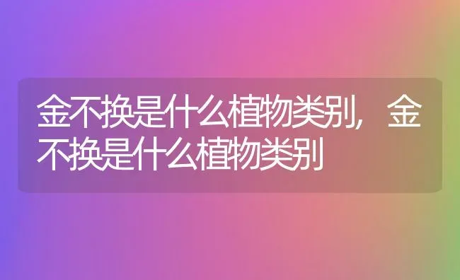 金不换是什么植物类别,金不换是什么植物类别 | 养殖科普