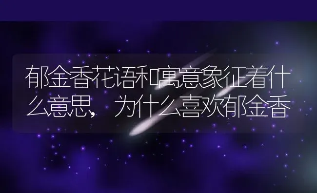 郁金香花语和寓意象征着什么意思,为什么喜欢郁金香 | 养殖学堂
