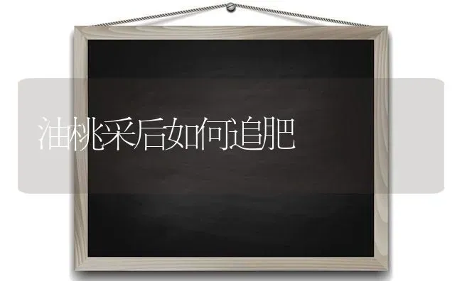 温室辣椒施好“三肥”保增产 | 养殖技术大全