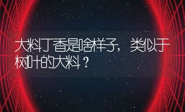 大料丁香是啥样子,类似于树叶的大料？ | 养殖科普