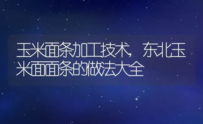 玉米面条加工技术,东北玉米面面条的做法大全 | 养殖学堂