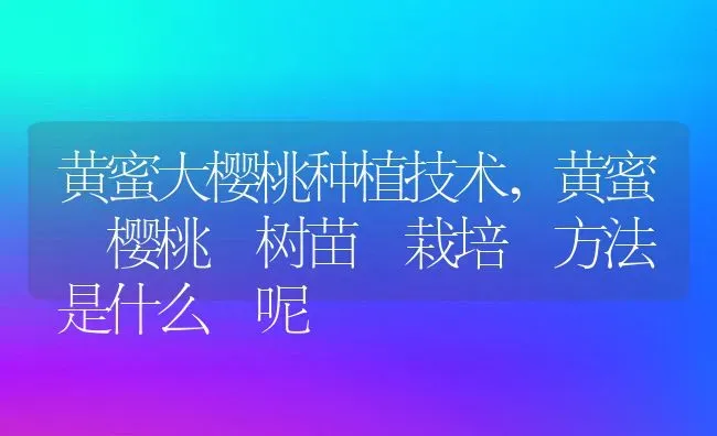 黄蜜大樱桃种植技术,黄蜜 樱桃 树苗 栽培 方法 是什么 呢 | 养殖学堂