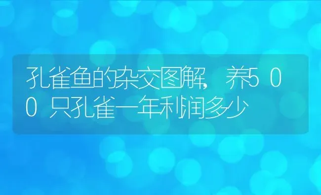 孔雀鱼的杂交图解,养500只孔雀一年利润多少 | 养殖科普