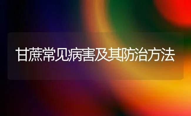 甘蔗常见病害及其防治方法 | 养殖技术大全