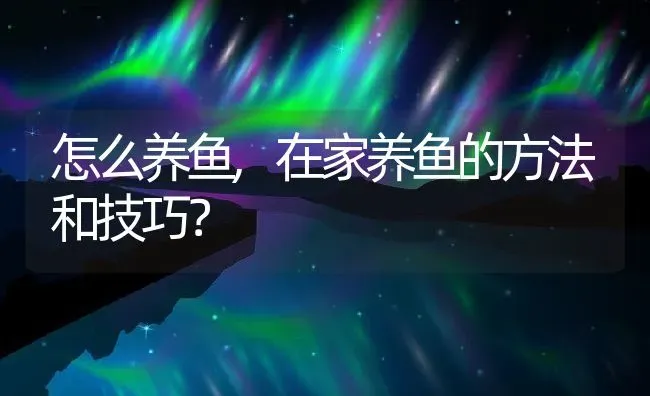 怎么养鱼,在家养鱼的方法和技巧？ | 养殖学堂