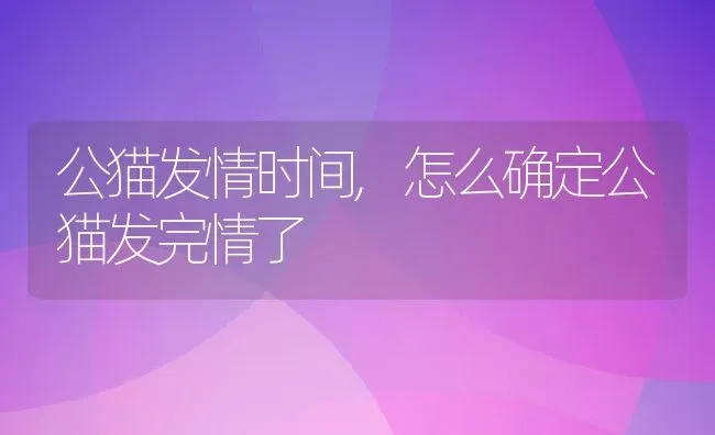 公猫发情时间,怎么确定公猫发完情了 | 养殖科普