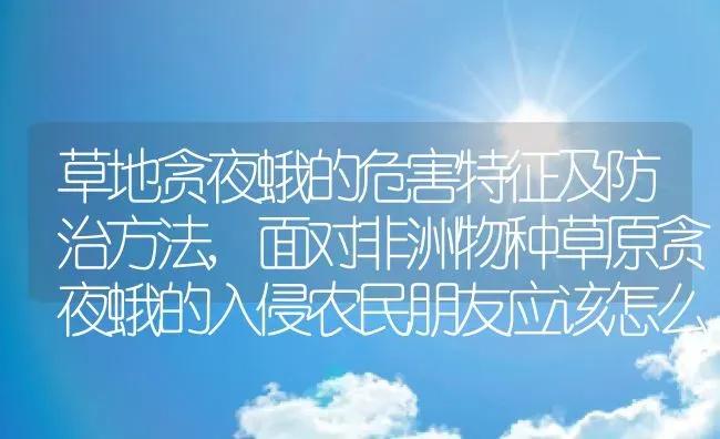 草地贪夜蛾的危害特征及防治方法,面对非洲物种草原贪夜蛾的入侵农民朋友应该怎么办 | 养殖学堂
