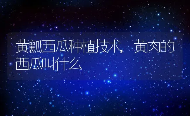 黄瓤西瓜种植技术,黄肉的西瓜叫什么 | 养殖学堂
