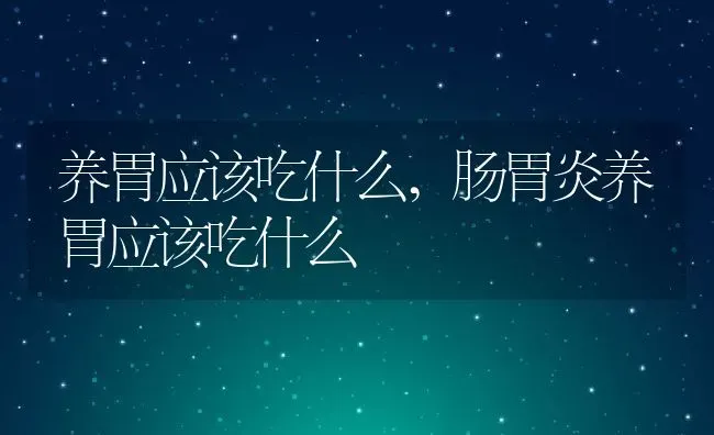 养胃应该吃什么,肠胃炎养胃应该吃什么 | 养殖资料