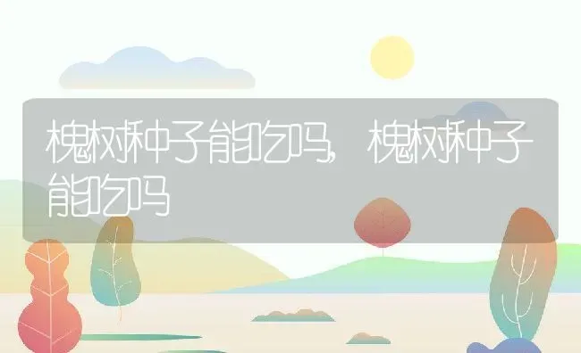 槐树种子能吃吗,槐树种子能吃吗 | 养殖科普