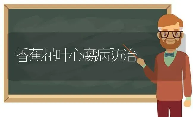 香蕉花叶心腐病防治 | 养殖技术大全