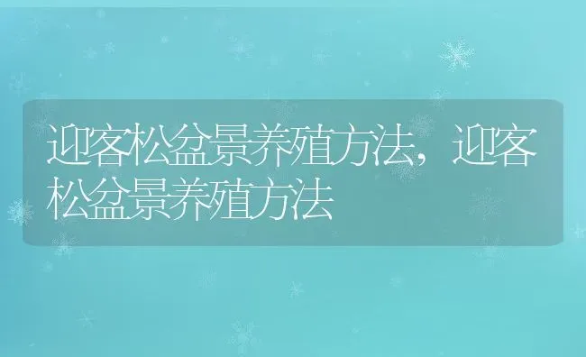 迎客松盆景养殖方法,迎客松盆景养殖方法 | 养殖科普