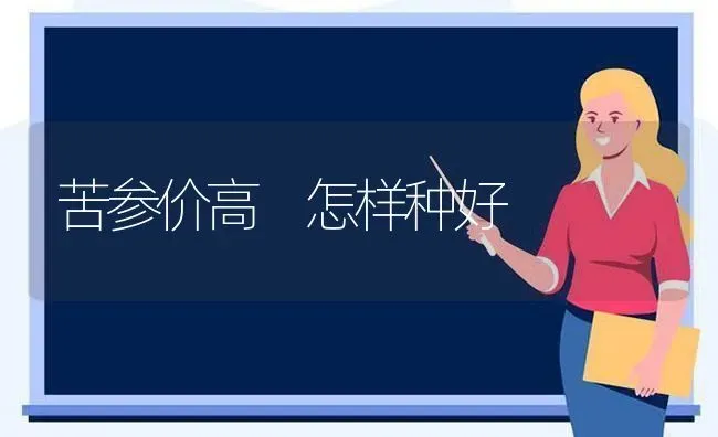 苦参价高　怎样种好 | 养殖技术大全