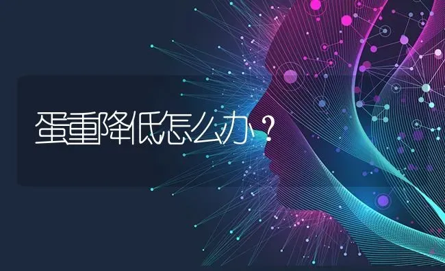 蛋重降低怎么办? | 养殖知识