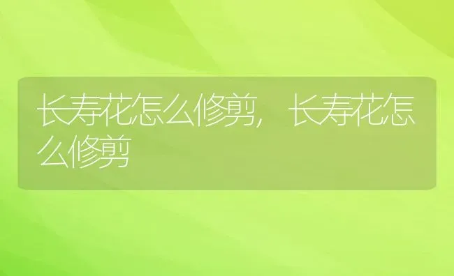 长寿花怎么修剪,长寿花怎么修剪 | 养殖学堂