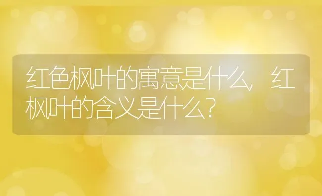 红色枫叶的寓意是什么,红枫叶的含义是什么？ | 养殖科普