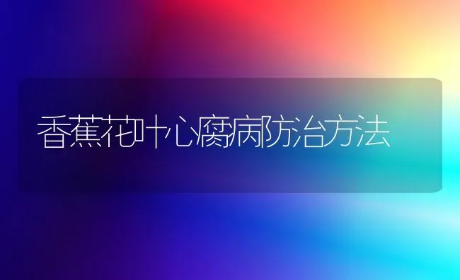 香蕉花叶心腐病防治方法 | 养殖知识