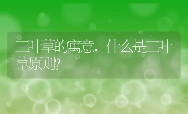 三叶草的寓意,什么是三叶草原则？ | 养殖科普