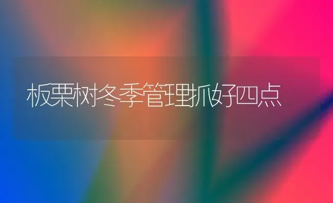 板栗树冬季管理抓好四点 | 养殖技术大全