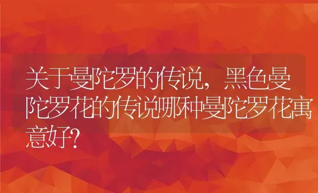 关于曼陀罗的传说,黑色曼陀罗花的传说哪种曼陀罗花寓意好？ | 养殖科普