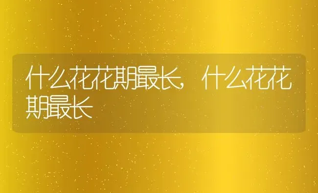 什么花花期最长,什么花花期最长 | 养殖科普