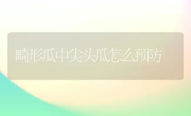 畸形瓜中尖头瓜怎么预防 | 养殖知识