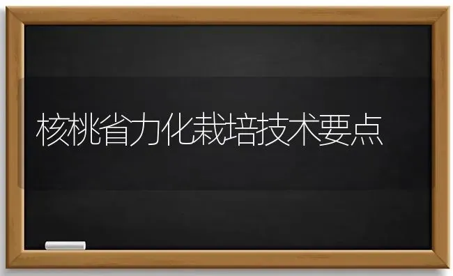 核桃省力化栽培技术要点 | 养殖技术大全