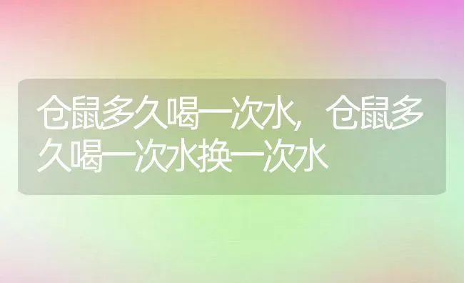 仓鼠多久喝一次水,仓鼠多久喝一次水换一次水 | 养殖科普