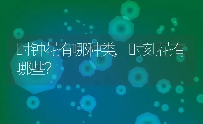 时钟花有哪种类,时刻花有哪些？ | 养殖科普