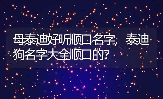 母泰迪好听顺口名字,泰迪狗名字大全顺口的？ | 养殖学堂