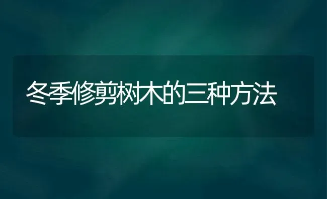 冬季修剪树木的三种方法 | 养殖技术大全