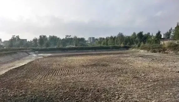 提高南美白对虾土塘养殖成功率的建议 | 三农知识