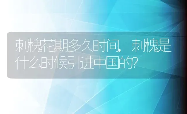 刺槐花期多久时间,刺槐是什么时候引进中国的？ | 养殖科普