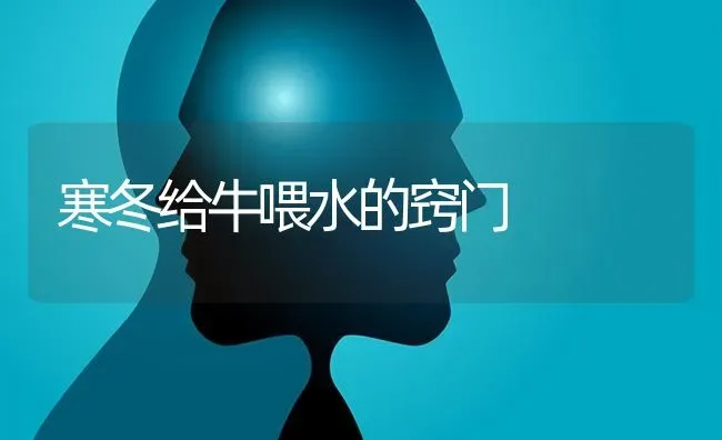 寒冬给牛喂水的窍门 | 养殖技术大全