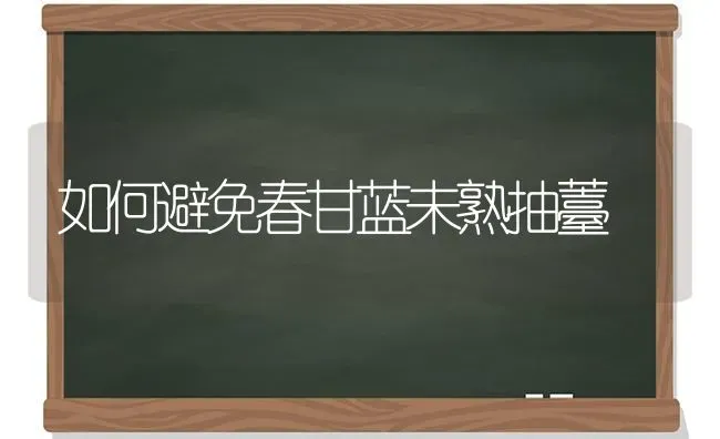 如何避免春甘蓝未熟抽薹 | 养殖技术大全