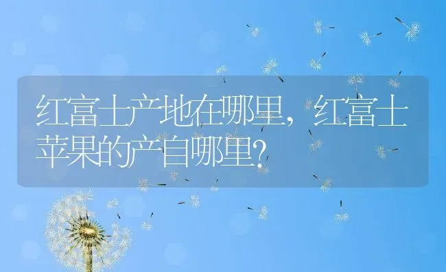 红富士产地在哪里,红富士苹果的产自哪里？ | 养殖科普