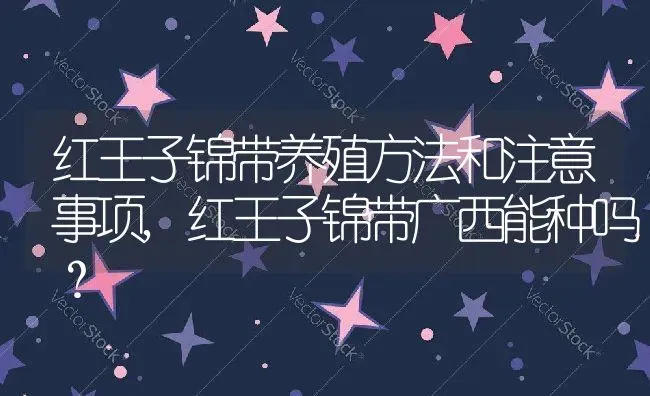 红王子锦带养殖方法和注意事项,红王子锦带广西能种吗？ | 养殖科普