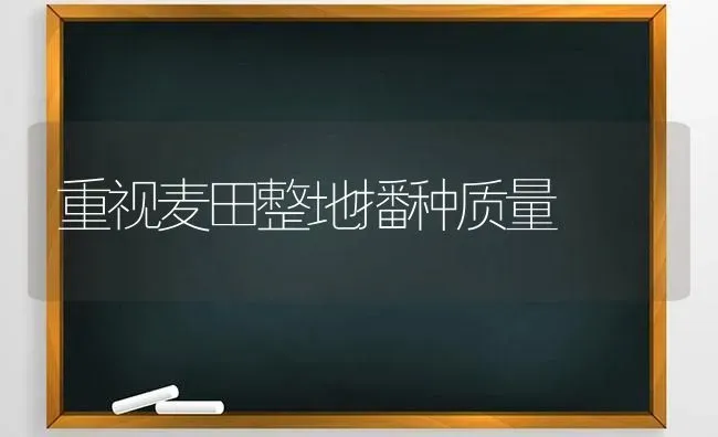 重视麦田整地播种质量 | 养殖知识