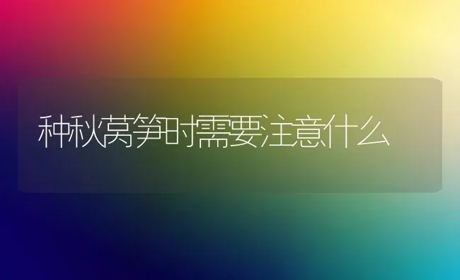 种秋莴笋时需要注意什么 | 养殖知识