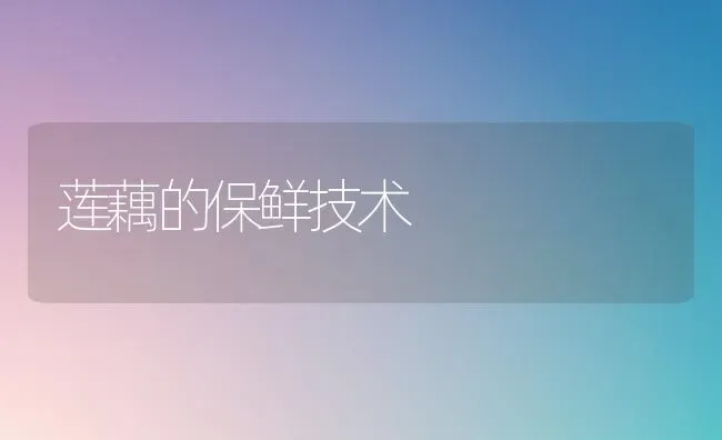 莲藕的保鲜技术 | 养殖技术大全