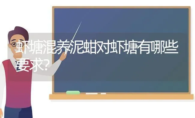 虾塘混养泥蚶对虾塘有哪些要求? | 养殖知识