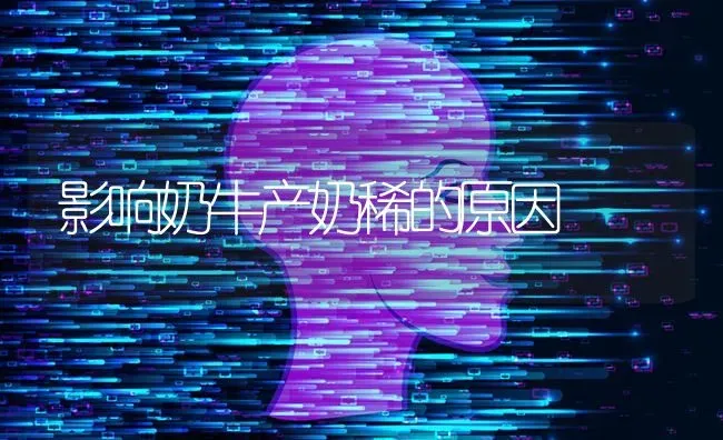 影响奶牛产奶稀的原因 | 养殖知识