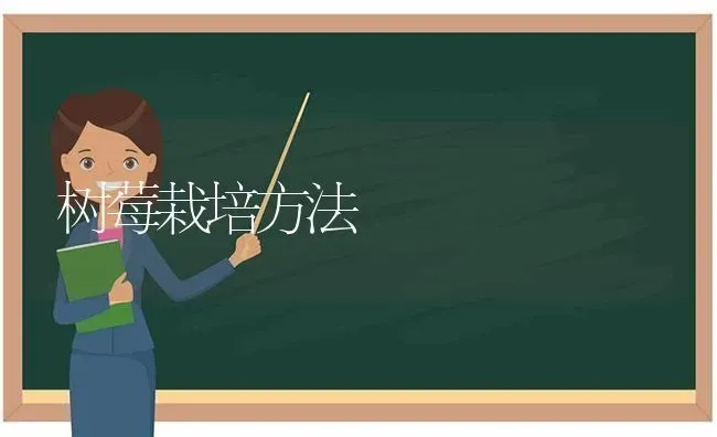 树莓栽培方法 | 养殖技术大全