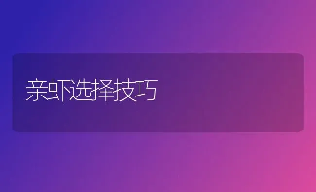 亲虾选择技巧 | 养殖技术大全