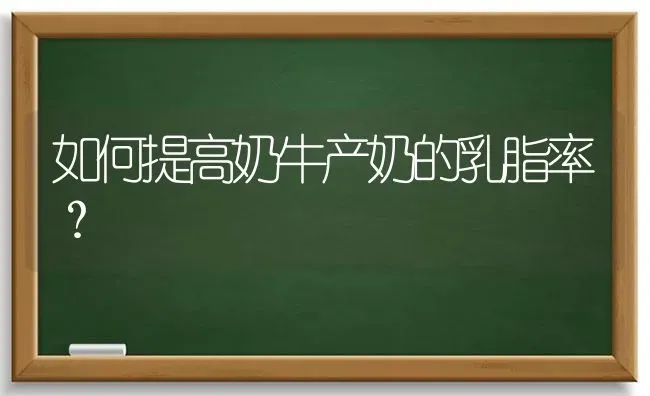 如何提高奶牛产奶的乳脂率? | 养殖知识